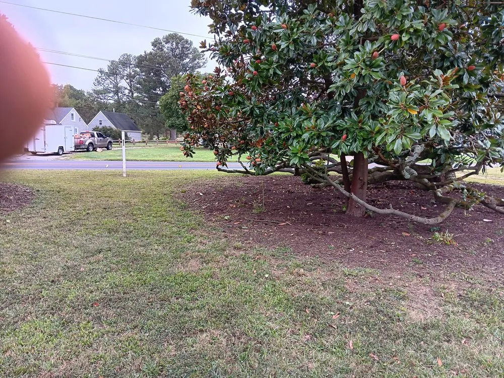 Custom outdoor landscaping in Richmond, VA - Willcutz