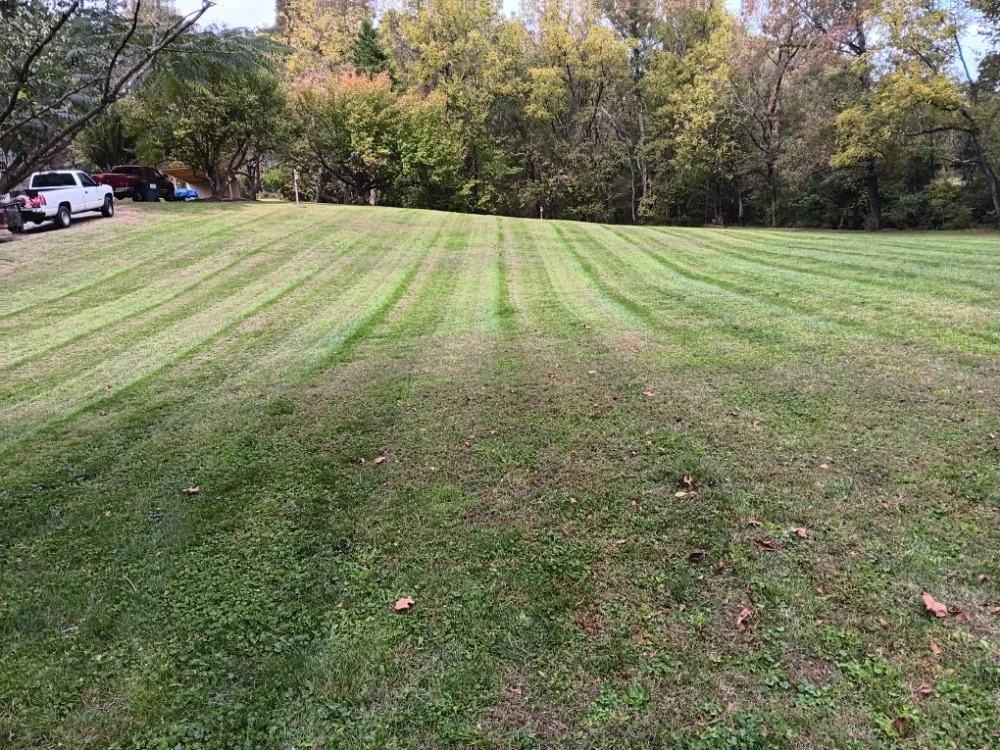 Custom landscape design for homes in Richmond, VA by Willcutz