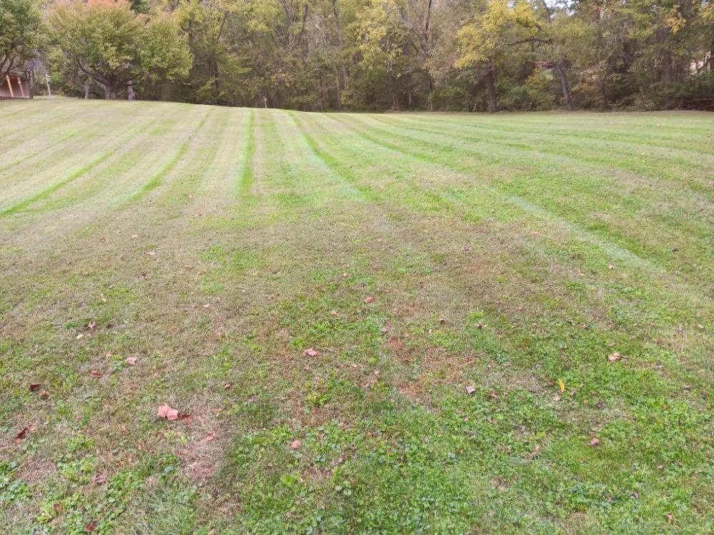 Reliable outdoor landscaping for outdoor upgrades in Richmond, VA by Willcutz