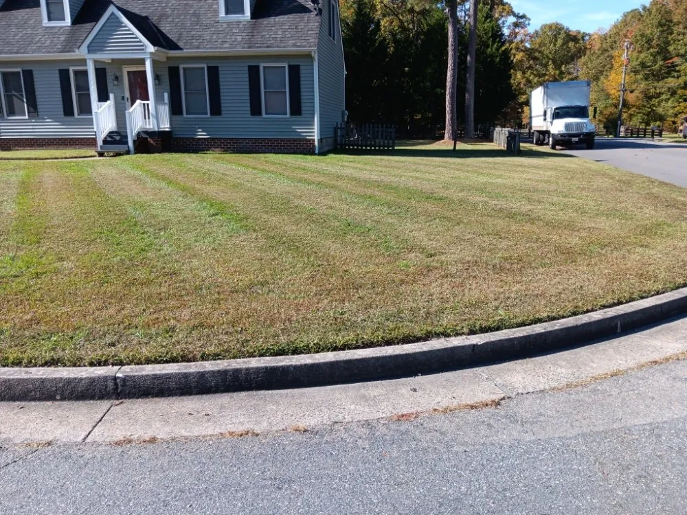 Reliable residential landscaping with custom design in Richmond, VA by Willcutz