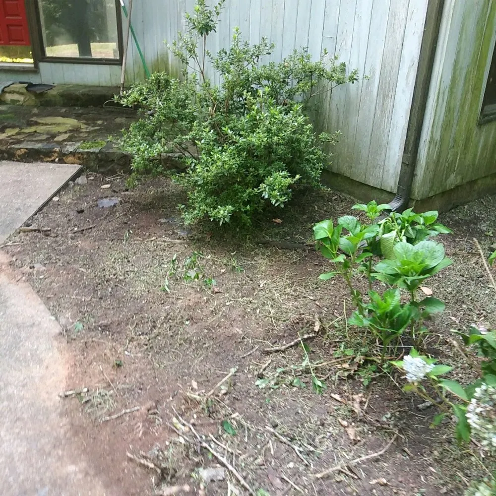 Top-rated landscaping services near you in Richmond, VA by Willcutz