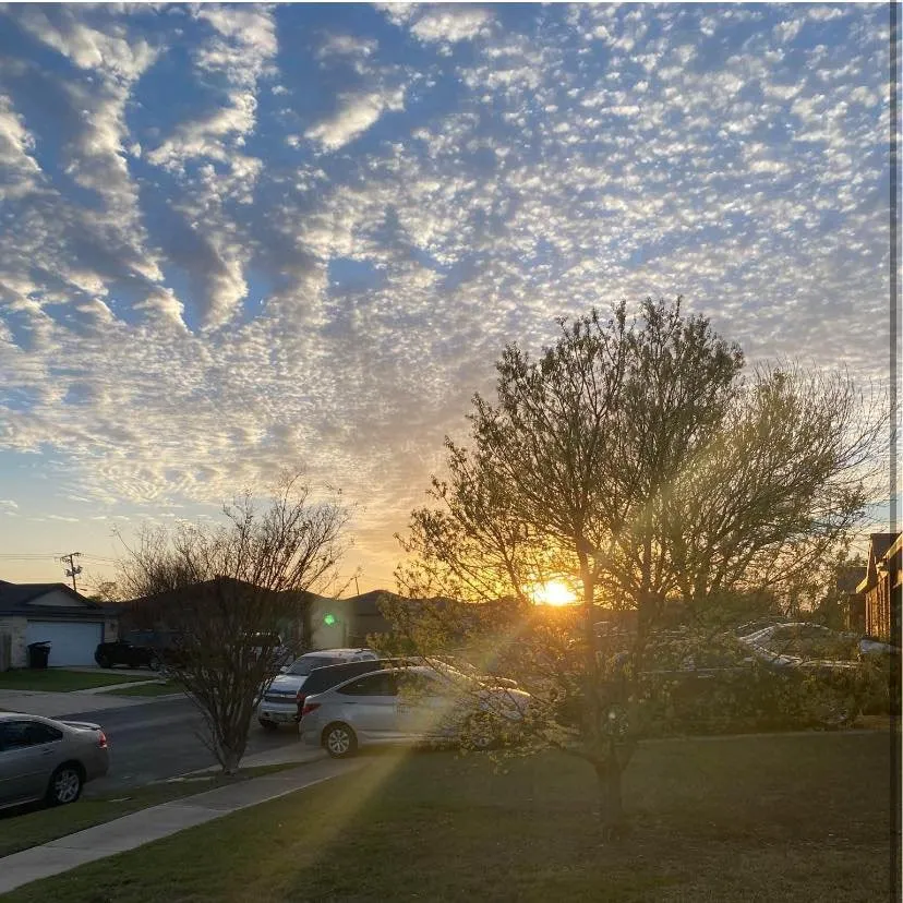 Expert landscape design experts serving Copperas Cove, TX - Willdub Landscape and More