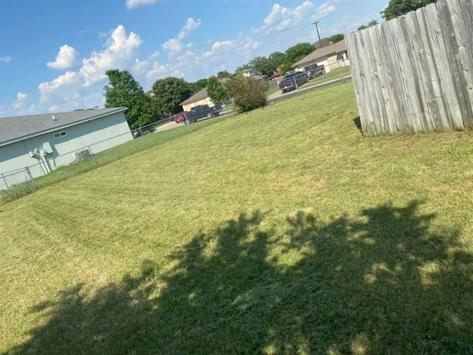 Reliable yard maintenance experts serving Copperas Cove, TX - Willdub Landscape and More