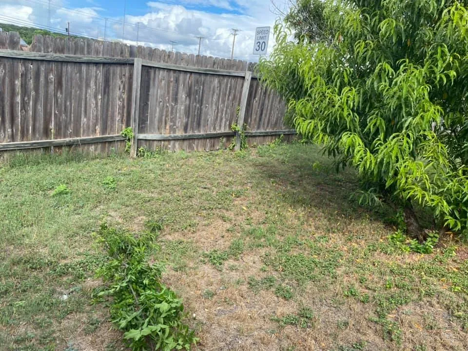 Professional lawn care service with custom design across Copperas Cove, TX - Willdub Landscape and More