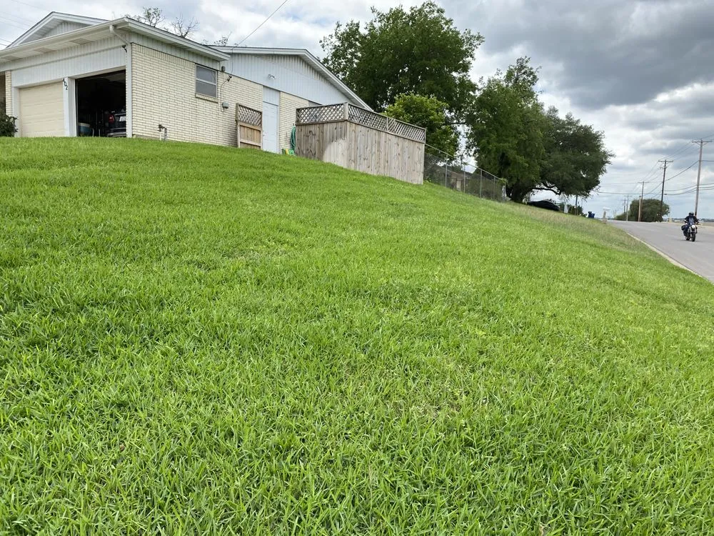 Expert yard cleanup service with custom design across Copperas Cove, TX - Willdub Landscape and More