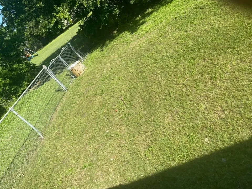 Expert landscaping services in Copperas Cove, TX - Willdub Landscape and More