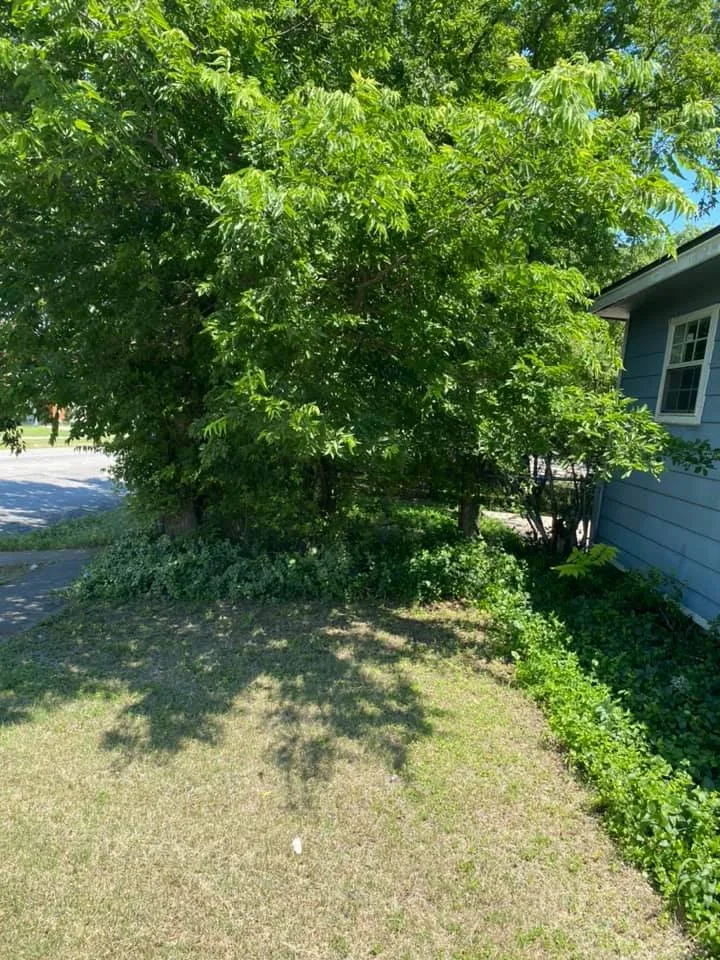 Professional landscape design in Copperas Cove, TX - Willdub Landscape and More