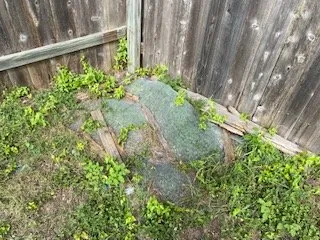 Reliable landscaping services experts serving Copperas Cove, TX - Willdub Landscape and More