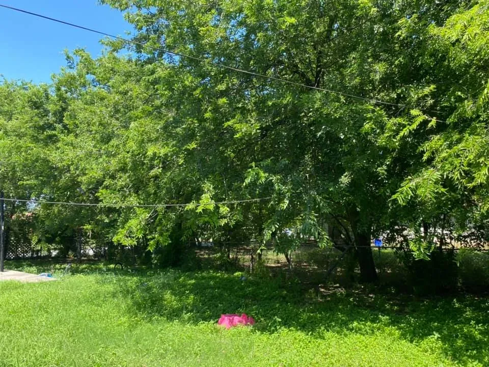 Reliable lawn care service in Copperas Cove, TX by Willdub Landscape and More