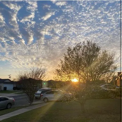 Willdub Landscape and More Logo