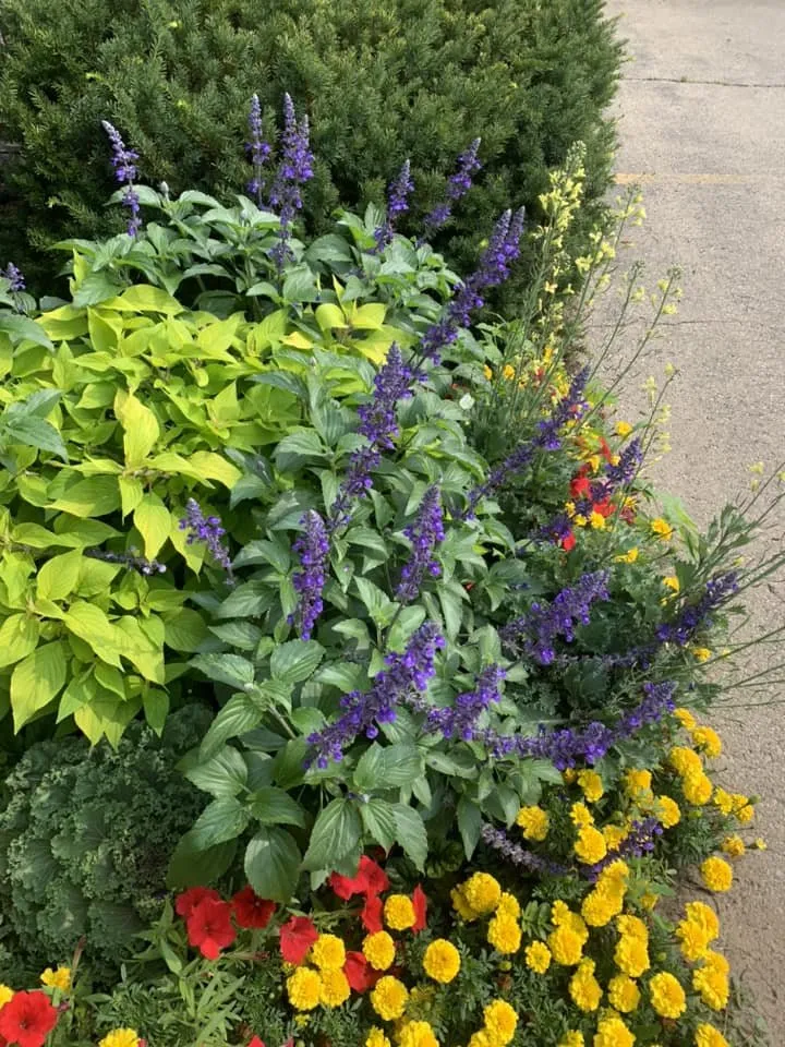 Affordable yard cleanup service for outdoor upgrades in De Pere, WI by Willems Landscape Service