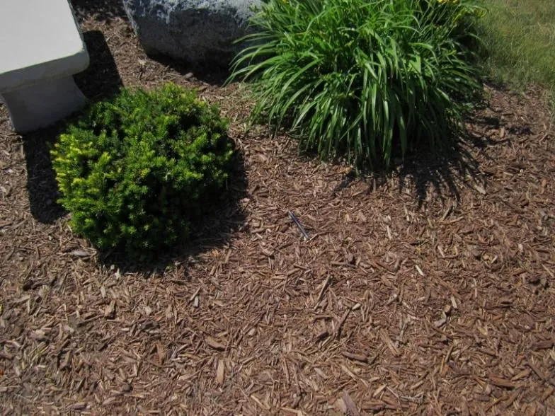 Custom landscape design in De Pere, WI by Willems Landscape Service