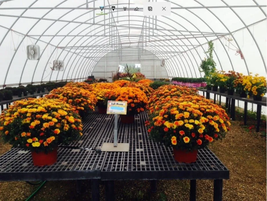 Expert residential landscaping in De Pere, WI - Willems Landscape Service