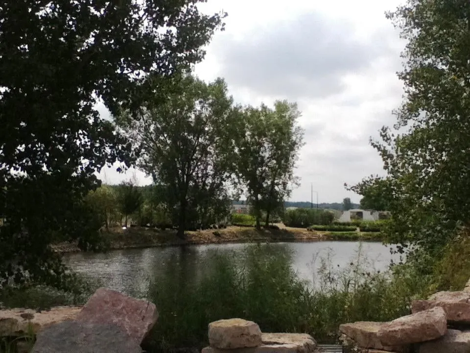 Expert lawn care service for homes in De Pere, WI by Willems Landscape Service