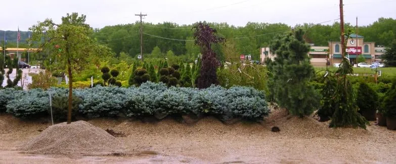 Top-rated landscape installation in De Pere, WI by Willems Landscape Service