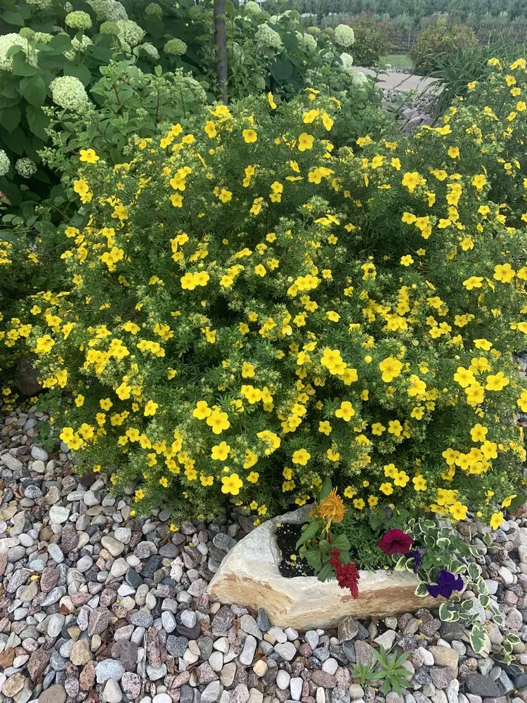 Reliable lawn mowing service experts serving De Pere, WI - Willems Landscape Service