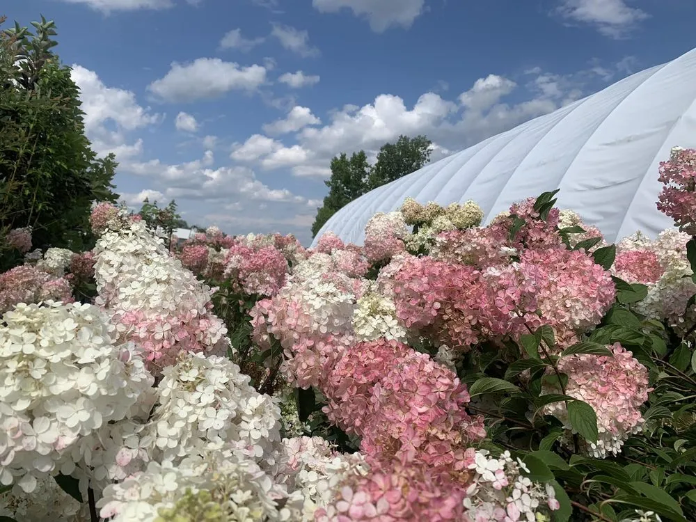 Custom residential landscaping experts serving De Pere, WI - Willems Landscape Service