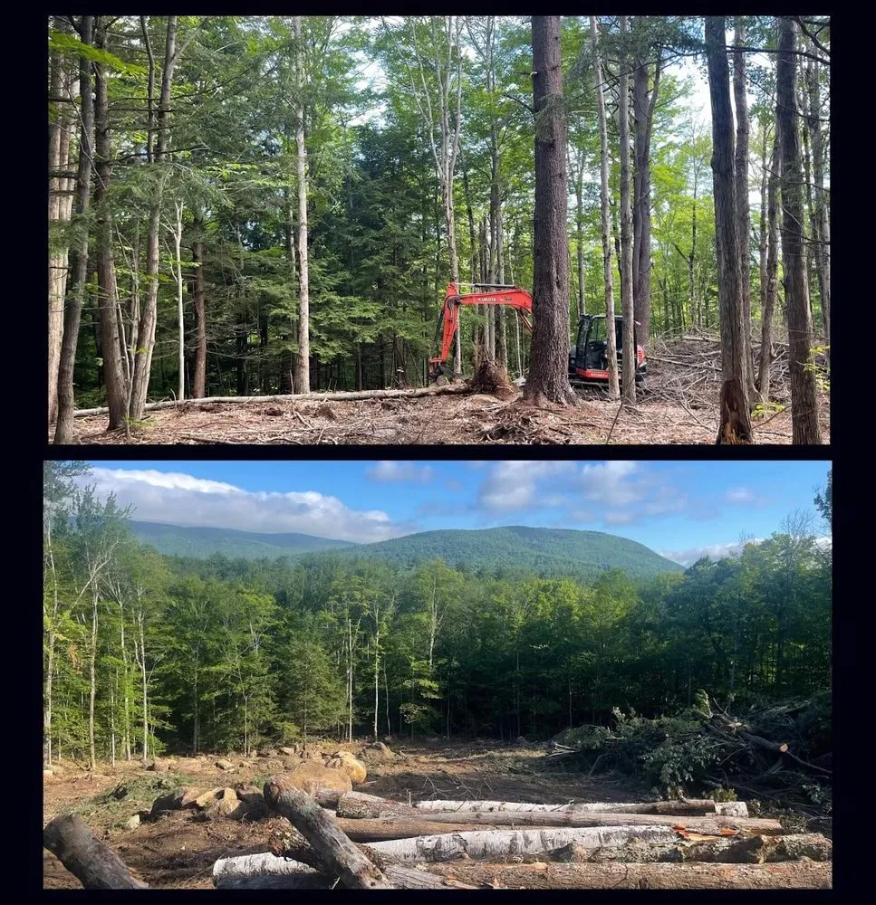 Affordable landscaping services in Sutton, NH - Willett's Forest & Property Maintenance