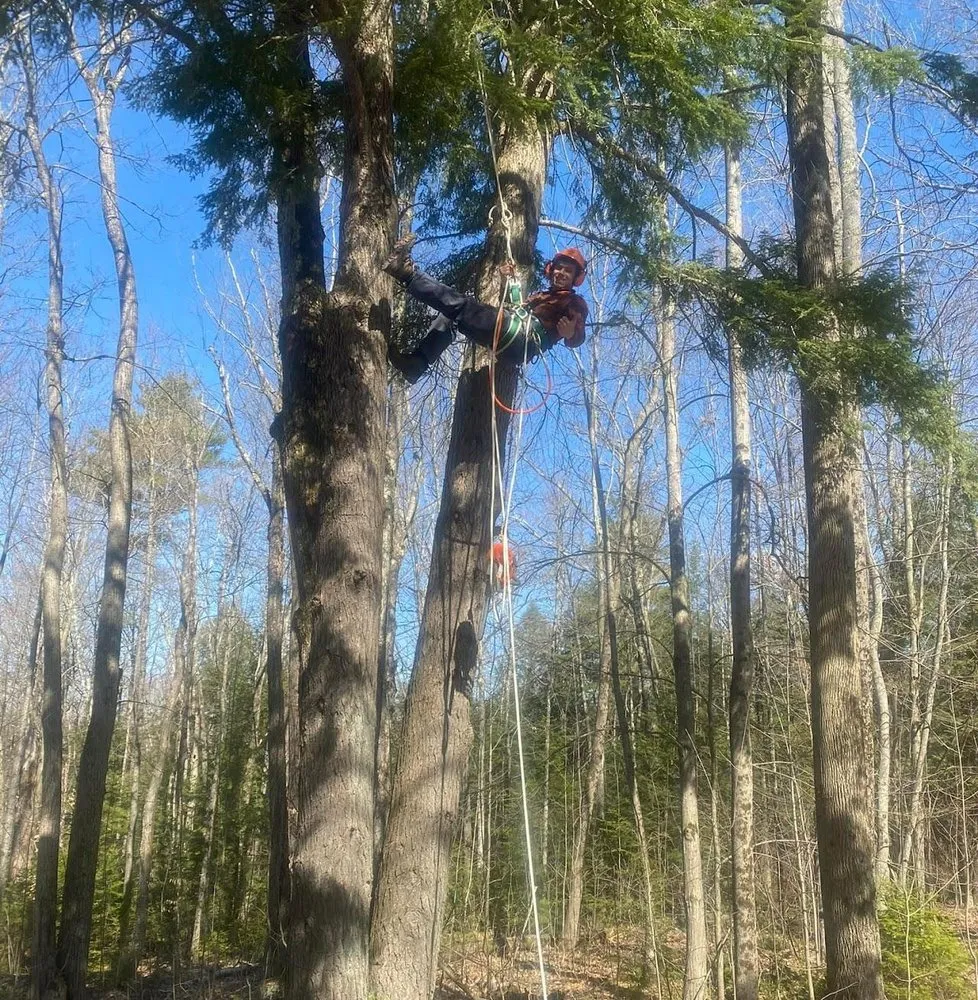Professional lawn mowing service experts serving Sutton, NH - Willett's Forest & Property Maintenance