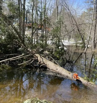 Willett's Forest & Property Maintenance