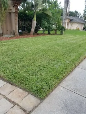 Willey's Home Service