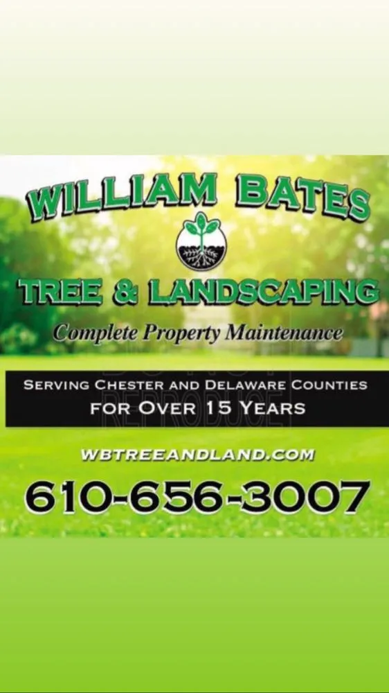 Professional lawn care service with custom design in Glen Mills, PA by William Bates Tree & Landscaping