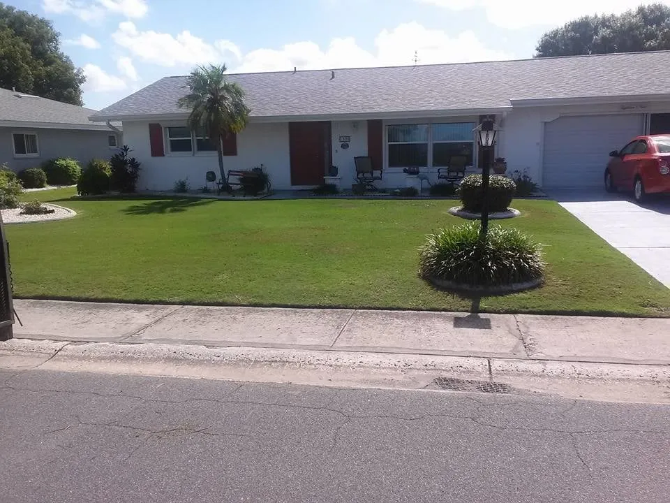 Local yard cleanup service experts serving Wimauma, FL - William Chapples Lawn Care