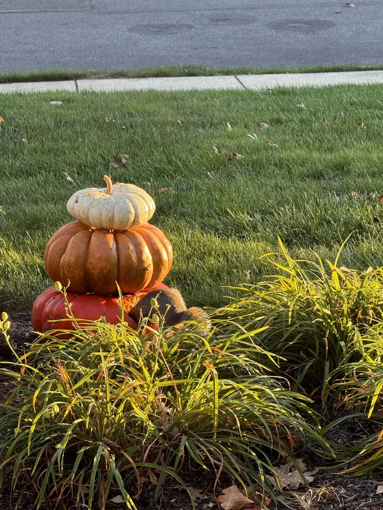 Affordable yard maintenance experts serving Ardmore, PA - William Geraghty Landscaping