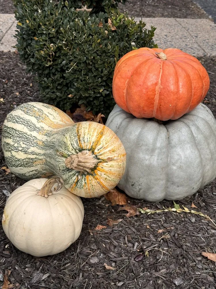 Reliable lawn care service experts serving Ardmore, PA - William Geraghty Landscaping