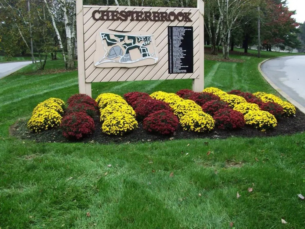 Reliable yard maintenance in Ardmore, PA - William Geraghty Landscaping