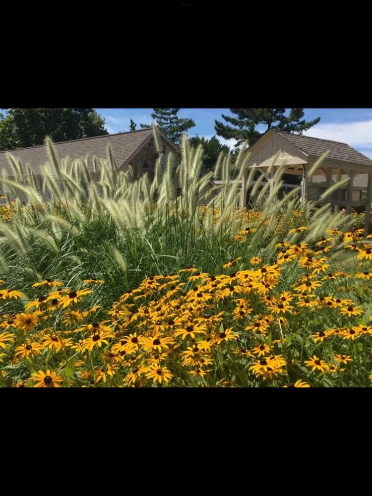 Local garden landscaping for beautiful yards in Ardmore, PA by William Geraghty Landscaping
