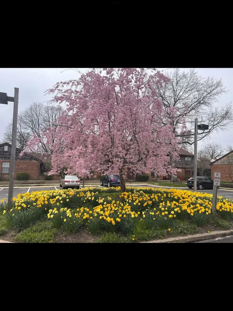 Local landscaping services in Ardmore, PA - William Geraghty Landscaping