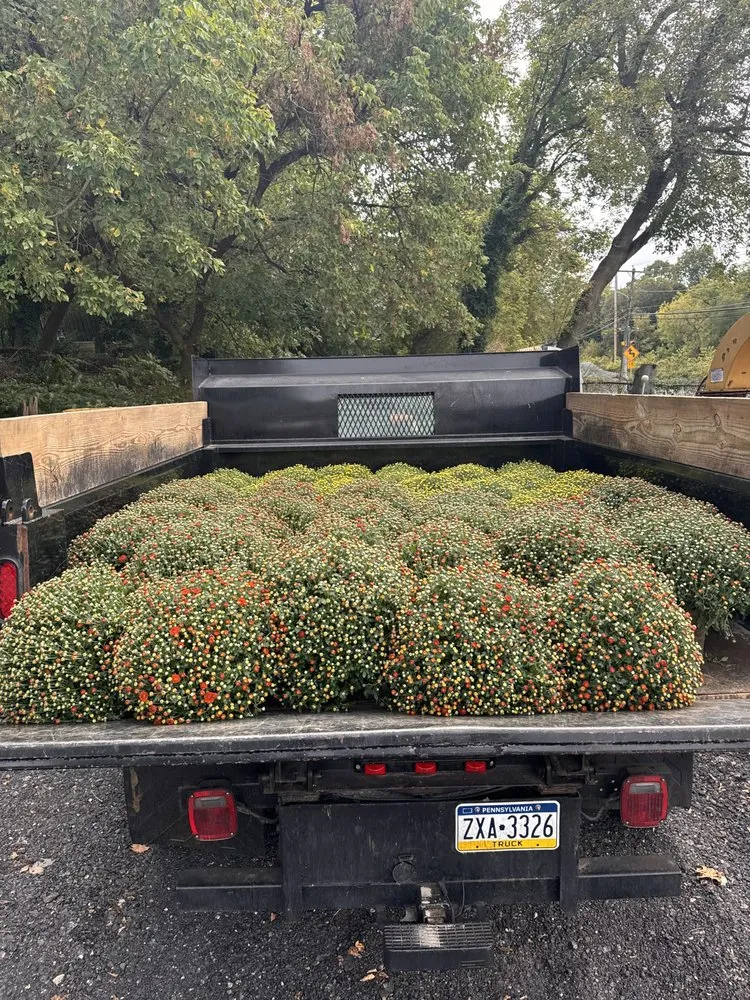 Expert lawn care service in Ardmore, PA by William Geraghty Landscaping