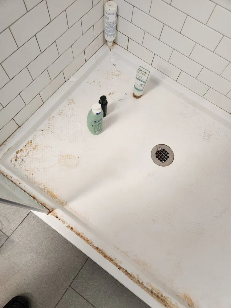 Local landscape design experts serving North Providence, RI - William Guglietti Handyman Services and Cleaning