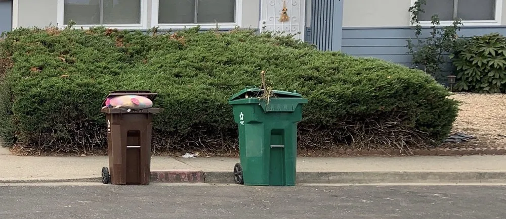 Expert yard maintenance in Richmond, CA - William Landscaping & More