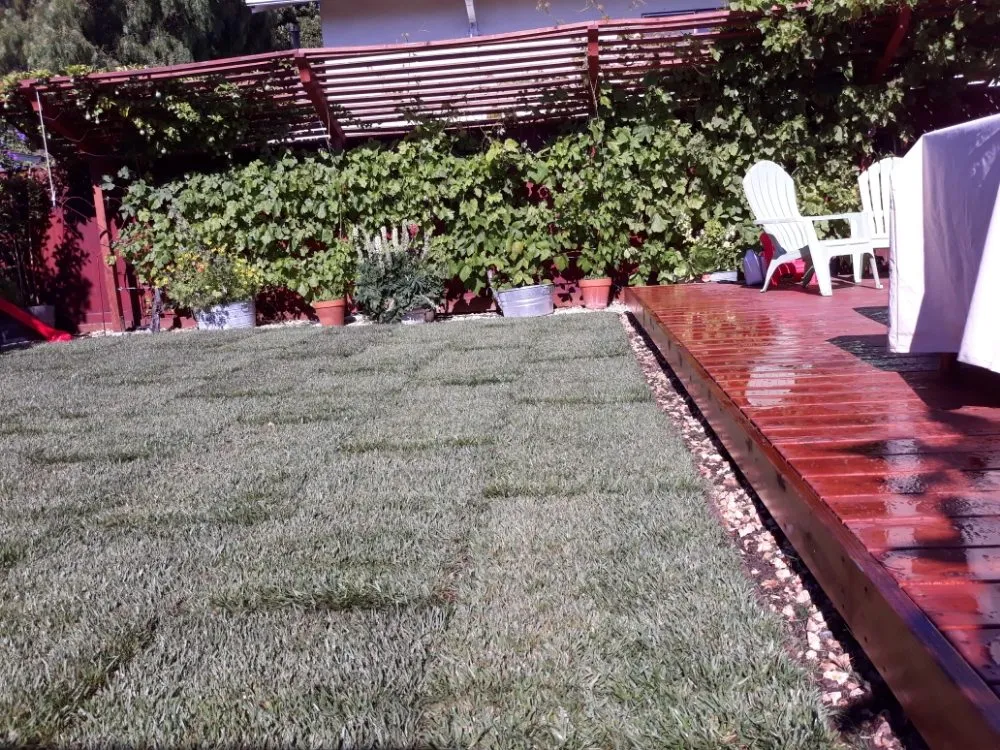 Trusted lawn mowing service in Richmond, CA by William Landscaping & More