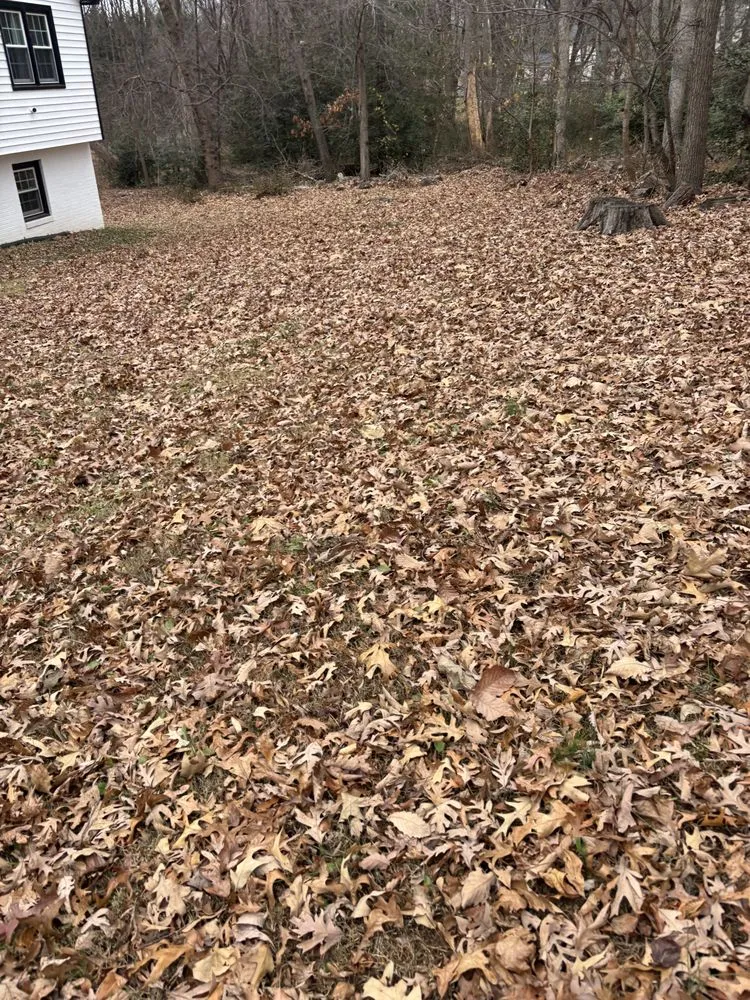 Trusted landscaping services experts serving Alexandria, VA - William Landscaping