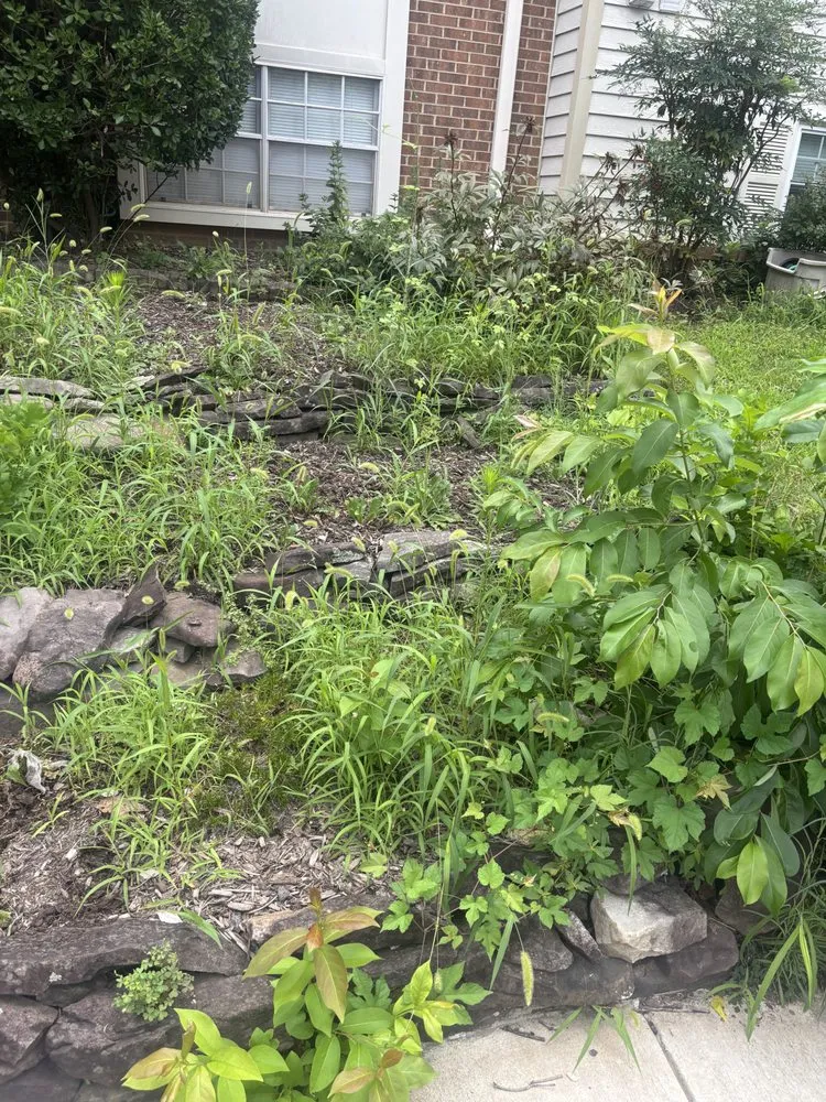 Top-rated landscape design experts serving Alexandria, VA - William Landscaping