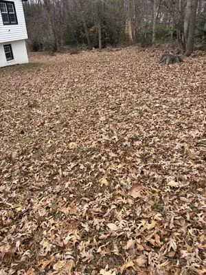 William Landscaping Logo