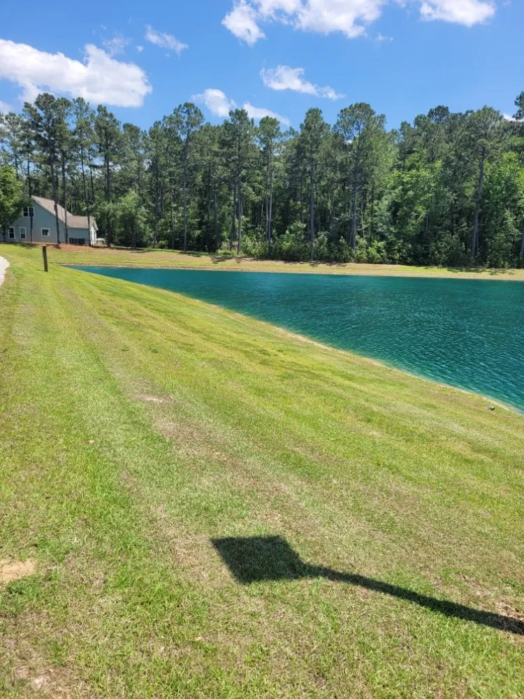 Expert landscape installation in North Charleston, SC - William Lawn Care Service