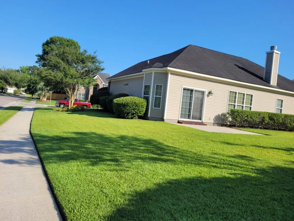 Professional yard cleanup service experts serving North Charleston, SC - William Lawn Care Service