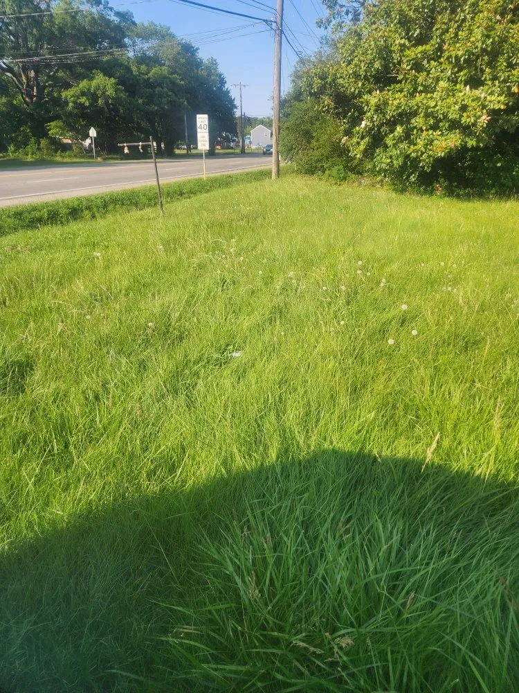 Expert yard cleanup service with custom design in Montrose, VA by William Lawncare Service