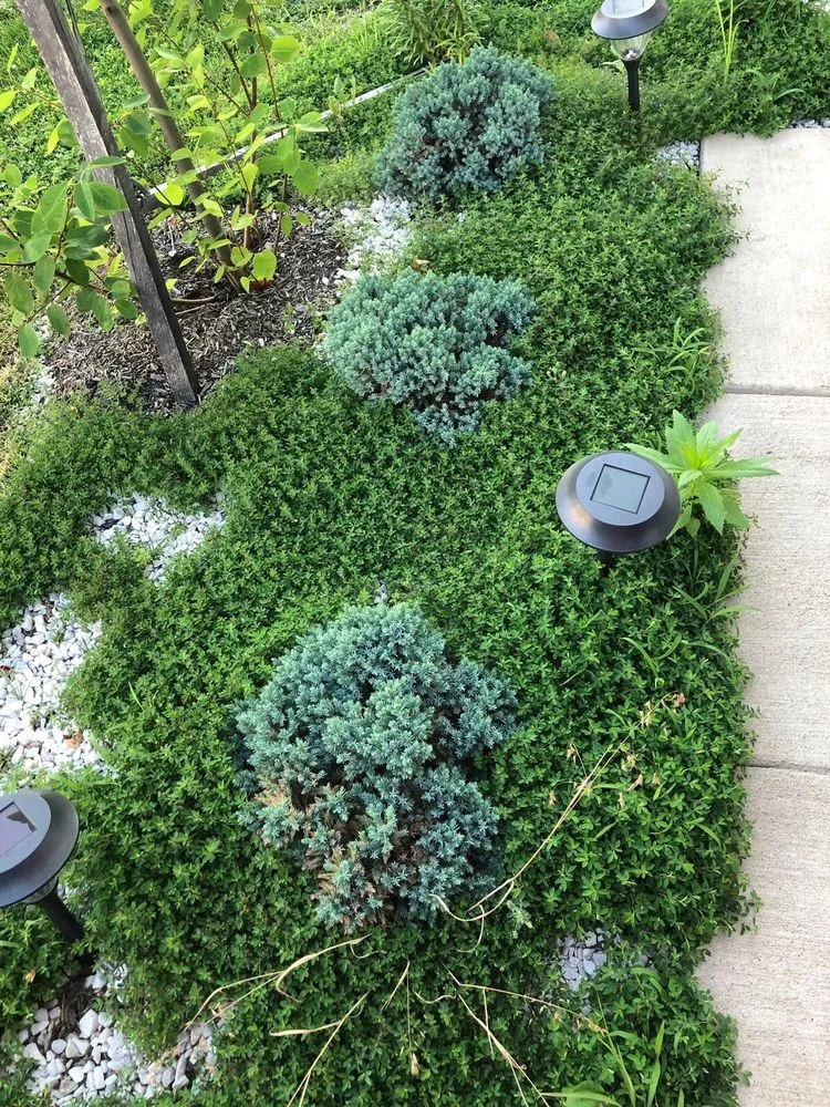 Expert landscape installation experts serving Ashburn, VA - William Lee Russ