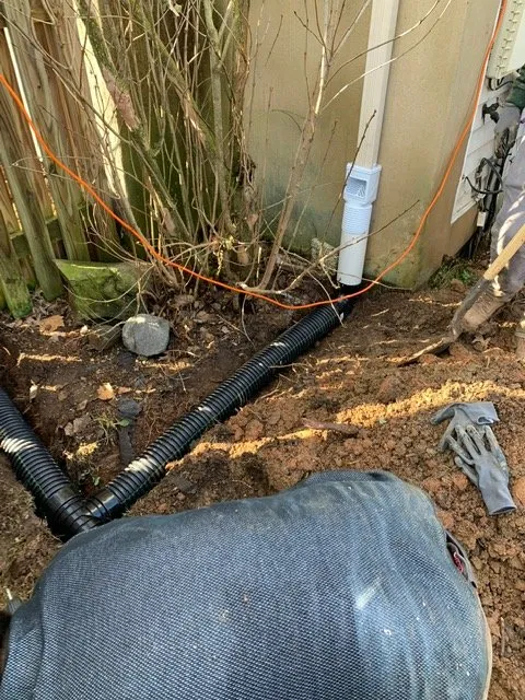 Top-rated landscaping services for homes across Ashburn, VA - William Lee Russ