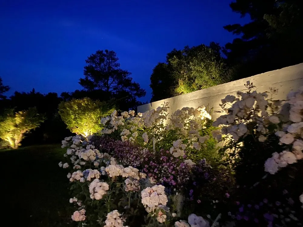 Trusted yard cleanup service with custom design in Mill Valley, CA by William Logan Landscapes