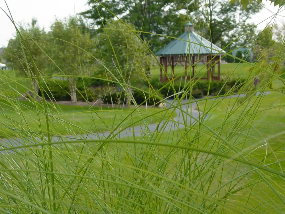 Expert garden landscaping in Alsip, IL - William Quinn & Sons Landscape Contractor