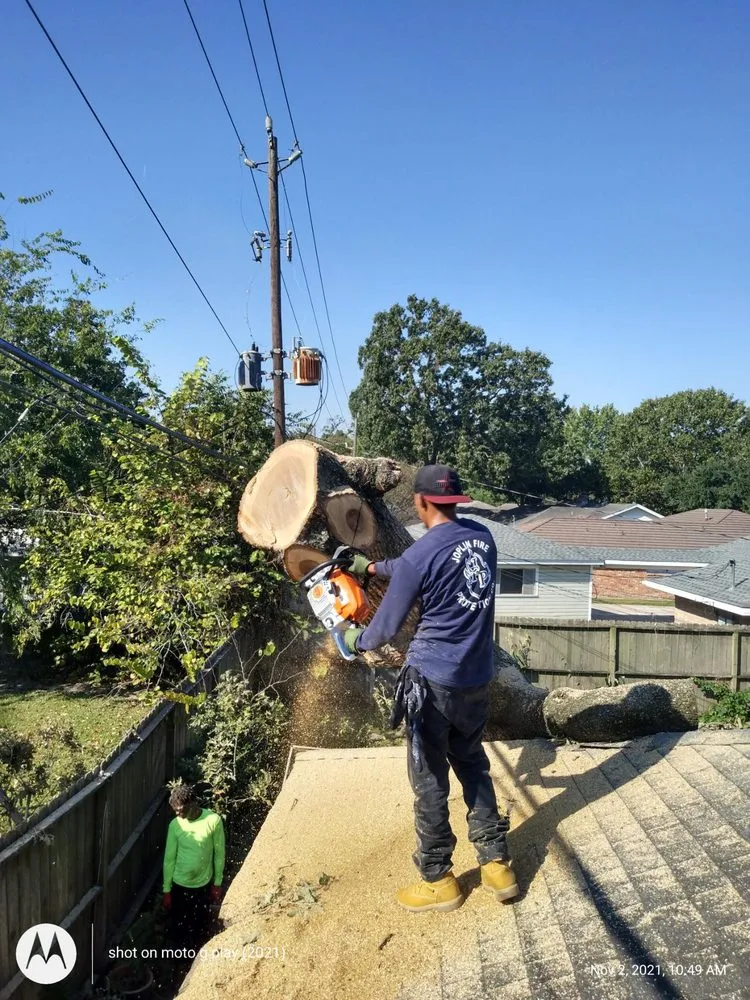 Top-rated garden landscaping in Houston, TX - William Tree Service