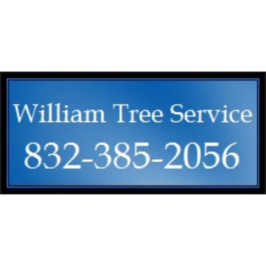 Top-rated landscape installation experts serving Houston, TX - William Tree Service