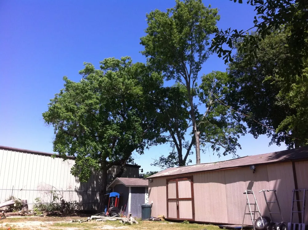 Top-rated landscape design for outdoor upgrades across Houston, TX - William Tree Service