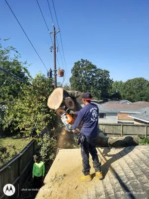 William Tree Service Logo